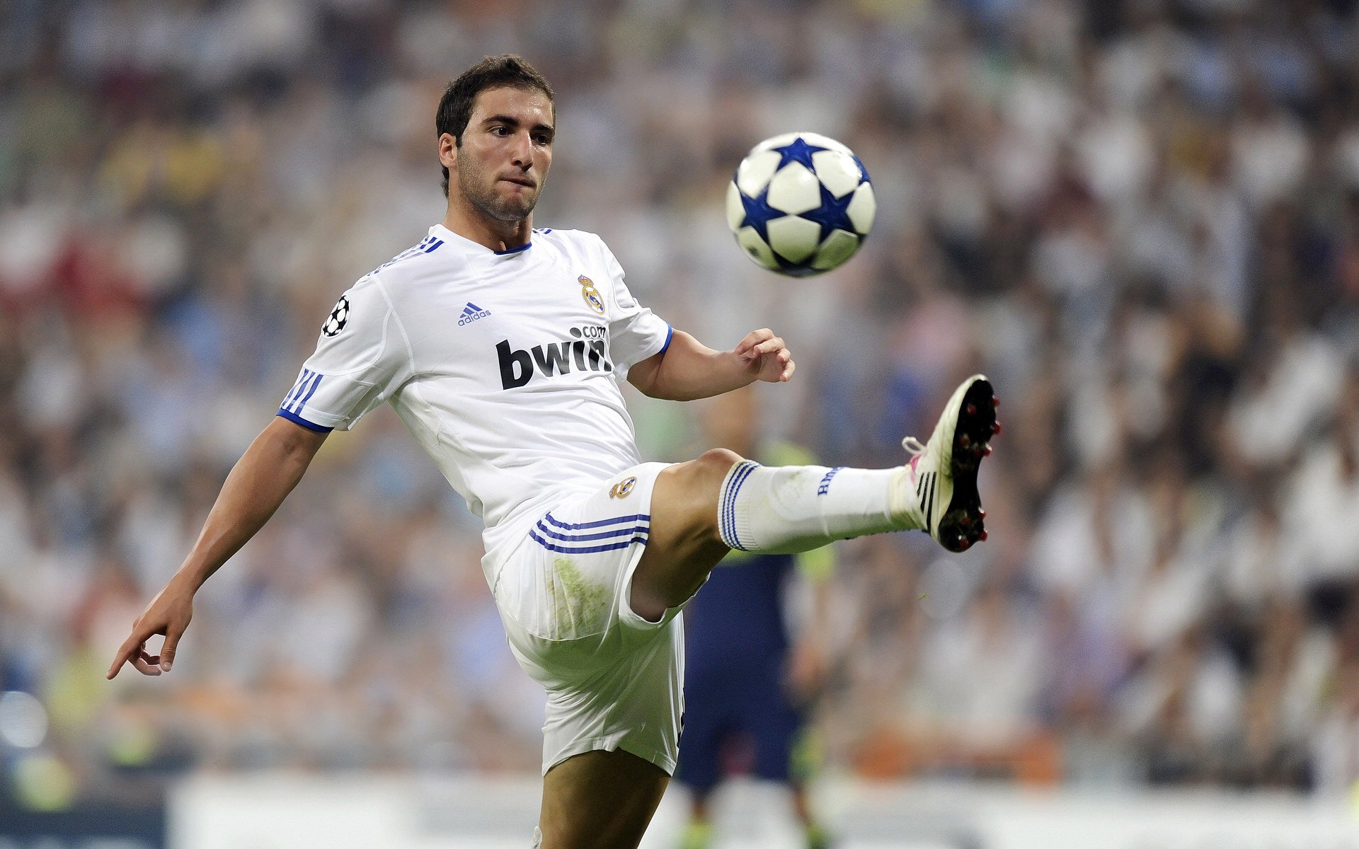 掘金集训营引入沉浸式视觉模拟提升判断力,掘金计划是什么意思