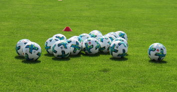 乐鱼体育-中国足球是否需要建立多语种教练课程，中国足球应该学哪国