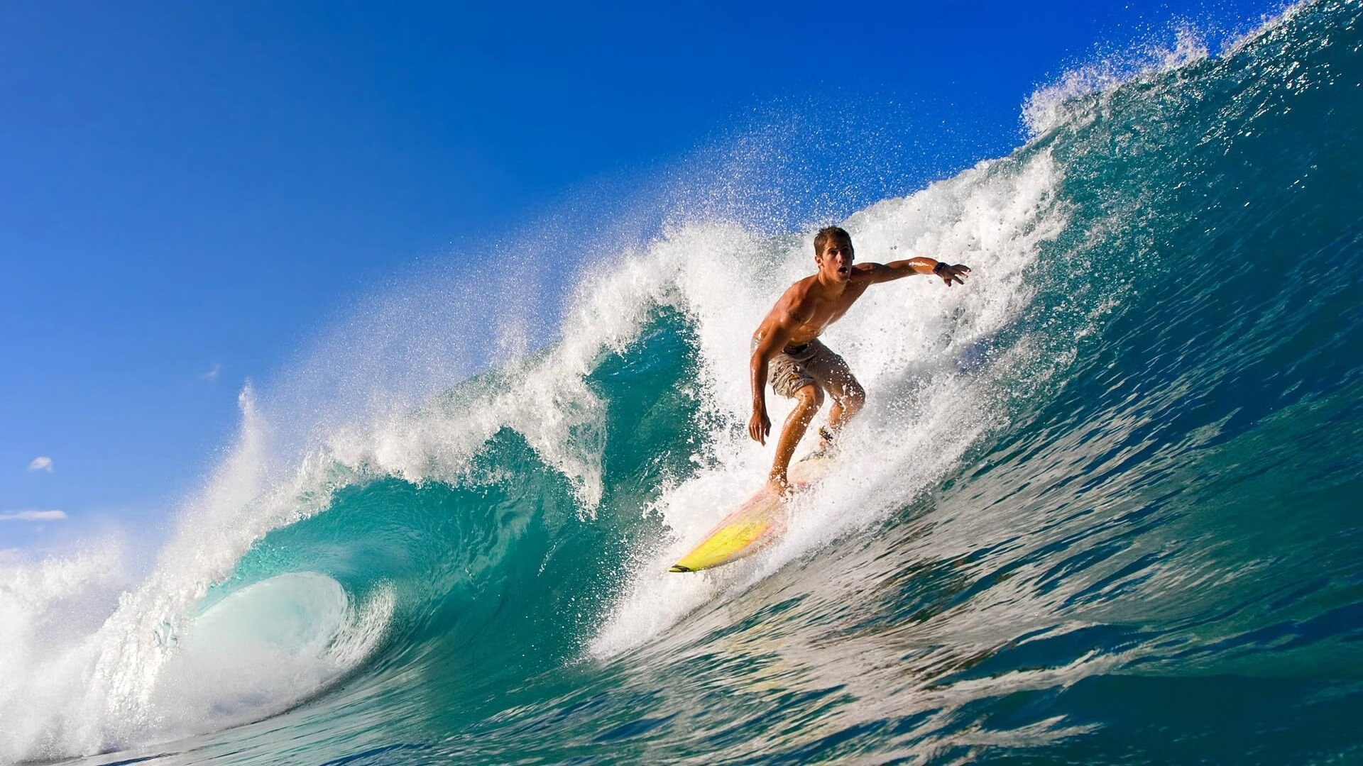 世界杯：多家自媒体被封号 原因是传播假消息与虚假新闻